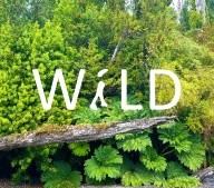 WiLD LandArch