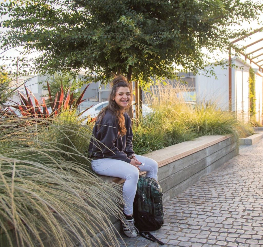 Ecological Public Space Berkeley LID Low Impact Design Cobble pavers Drought tolerant garden Drought tolerant plants