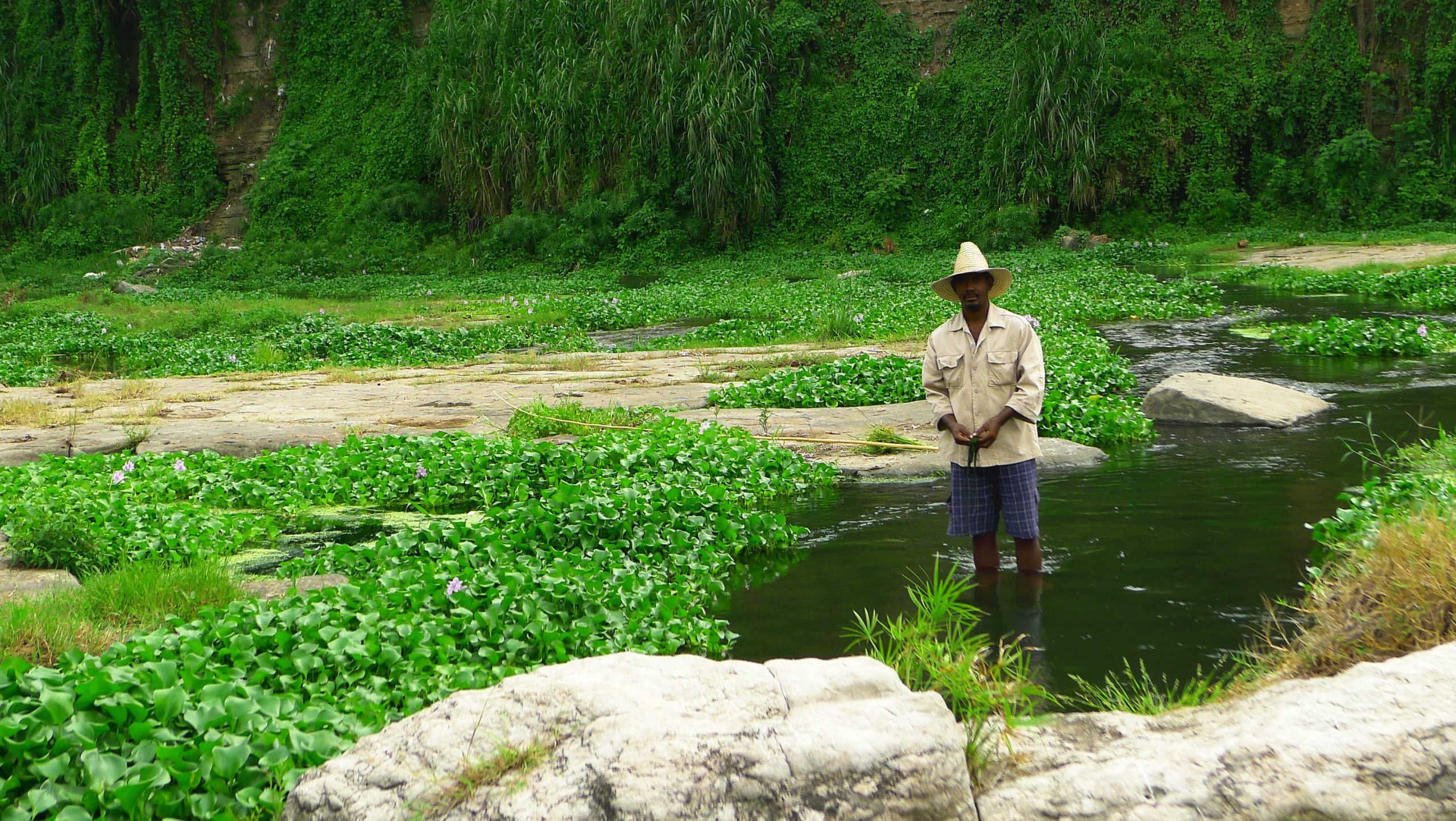 Cauto river2