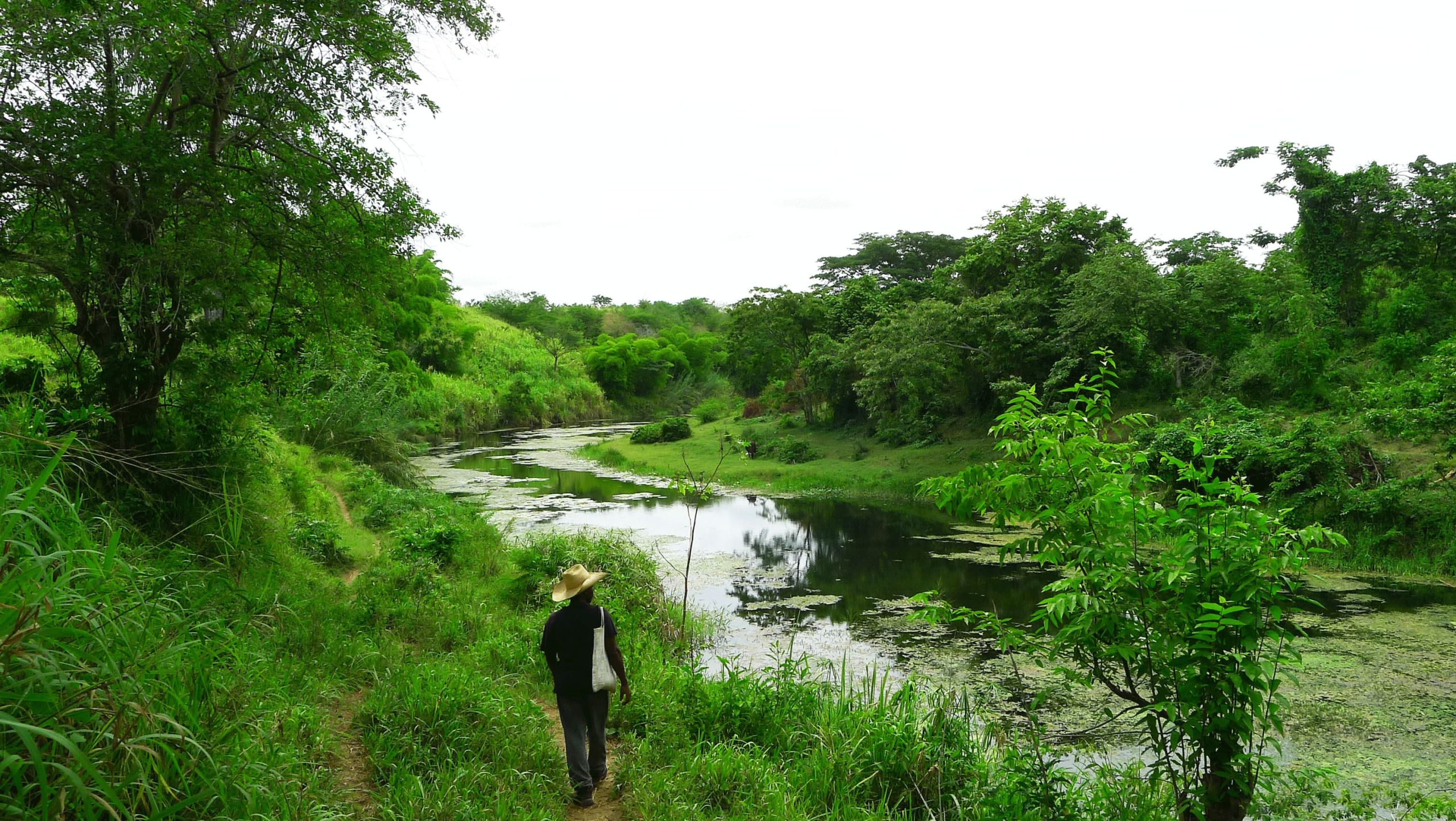 Cauto river3