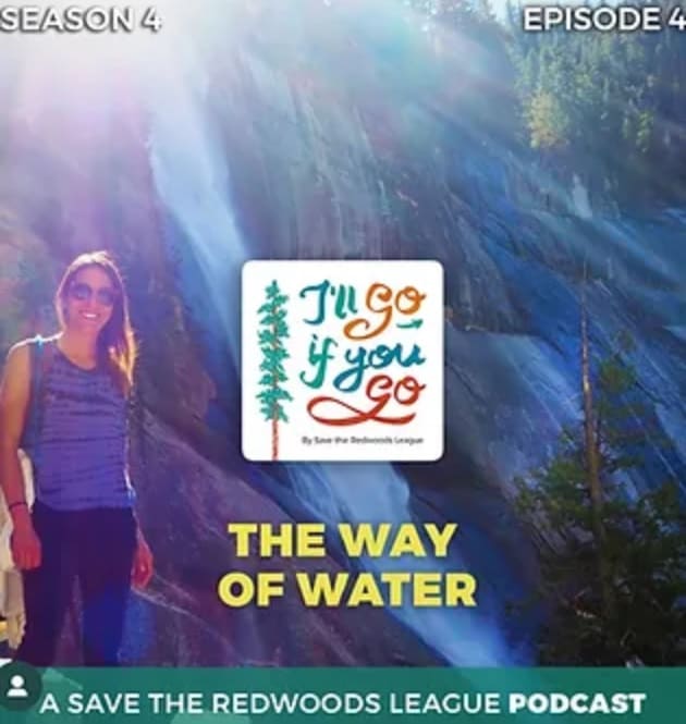 Save the Redwoods League Podcast Water Architect Ecology Water Ecology