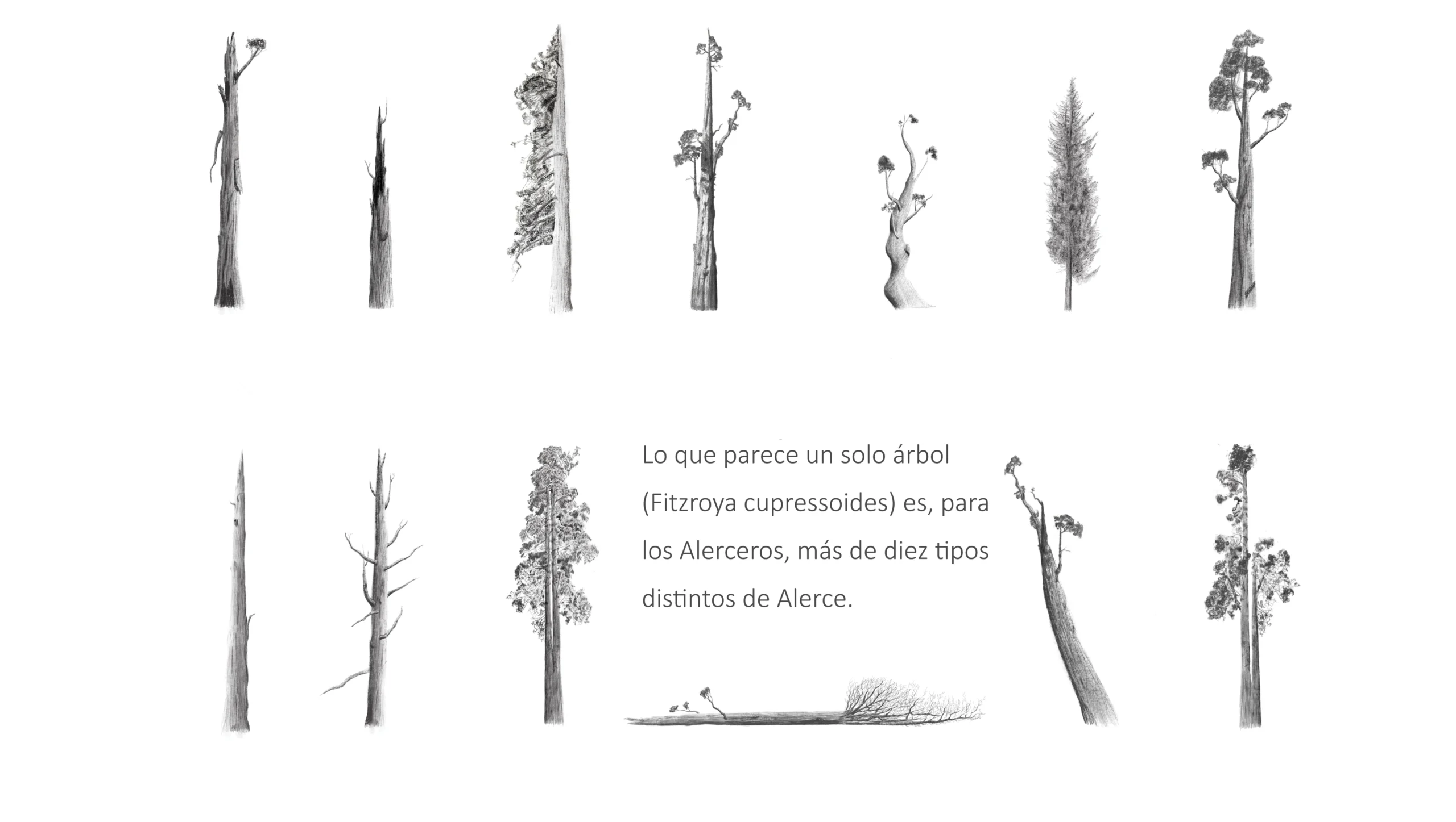 SL&A_IgnacioMenesesA_06_ESP