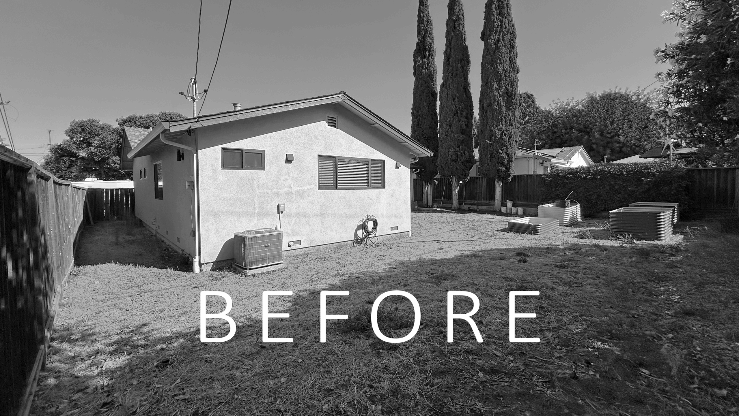 Wilcox_SanJosé_06